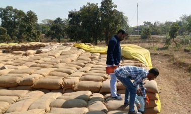 रायपुर : महासमुंद जिले में 272 कट्टा अवैध धान जब्त ....