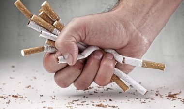 जशपुर: स्कूल,कॉलेज या कोई भी शिक्षण संस्थान कैंपस के 100 मीटर के दायरे में पान गुटका सिगरेट बेचते पाए जाने वाले दुकानदारों पर अब होगी बड़ी कार्रवाई... पढ़िए पूरी खबर