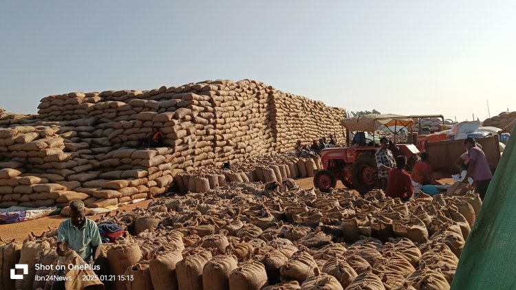 रायपुर : छत्तीसगढ़ में बना धान खरीदी में नया कीर्तिमान : 149.25 लाख मीट्रिक टन धान की हुई खरीदी"जशपुर जिले में 37 लाख 39 हजार 371 क्विंटल......