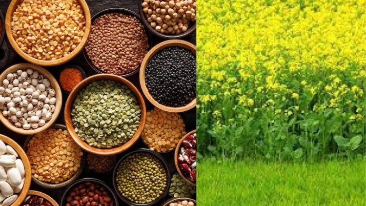 रायपुर: रबी फसल के लिए किसानों को मिला 445 करोड़ रूपए का कृषि ऋण