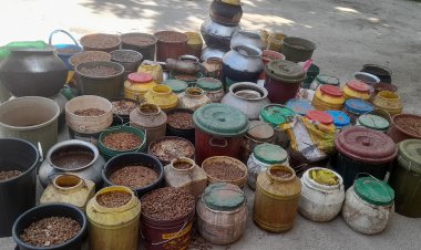 ऑपरेशन आघात: शराब कोचियों के खिलाफ जशपुर पुलिस की बड़ी कार्यवाही