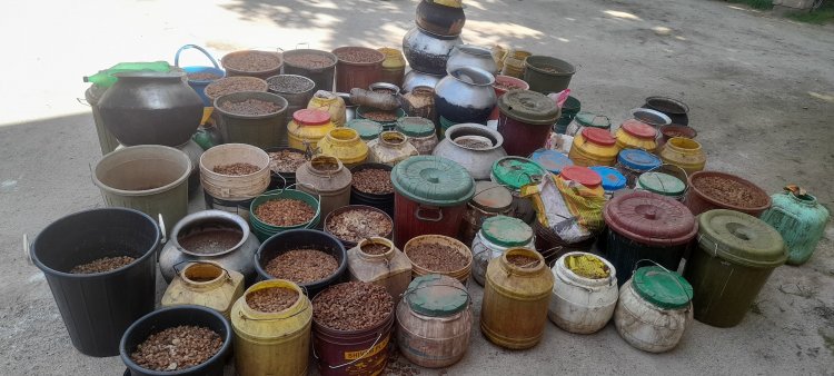 ऑपरेशन आघात: शराब कोचियों के खिलाफ जशपुर पुलिस की बड़ी कार्यवाही