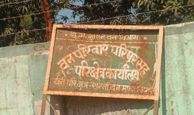 Big Breaking Jashpur: जशपुर DFO की बड़ी कार्यवाही , जंगल में चल रहा था JCB, DFO के निर्देशन में देर रात मौके पर पहुंची उड़नदस्ता टिम , विभागीय कर्मचारियों की अलग अलग जवाब ने मचाया हड़कंप... पढ़िए पूरी खबर