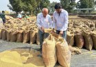 पारदर्शी व्यवस्था से खुशहाल किसान—3100 रुपये समर्थन मूल्य से नंद कुमार ने जताया मुख्यमंत्री विष्णु देव साय के प्रति आभार
