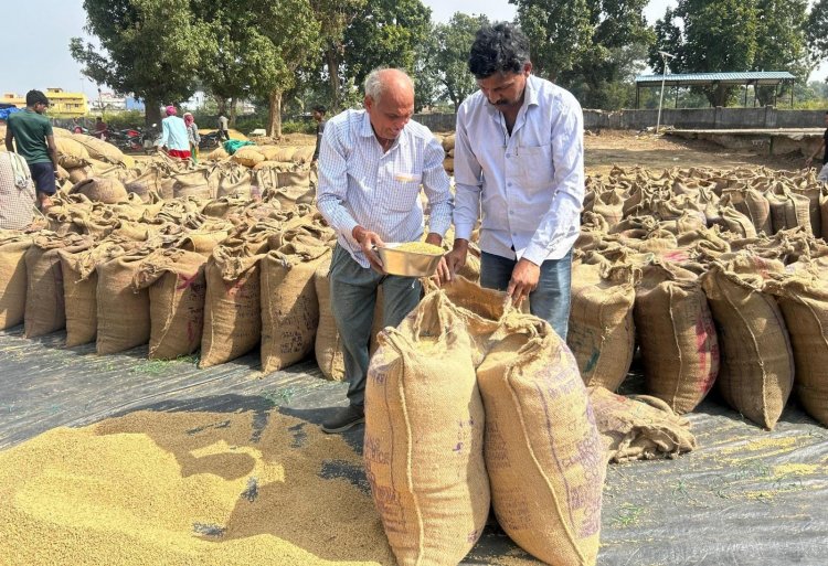 प्रधानमंत्री धन-धान्य कृषि योजना के तहत लगेगा विशेष कृषि शिविर